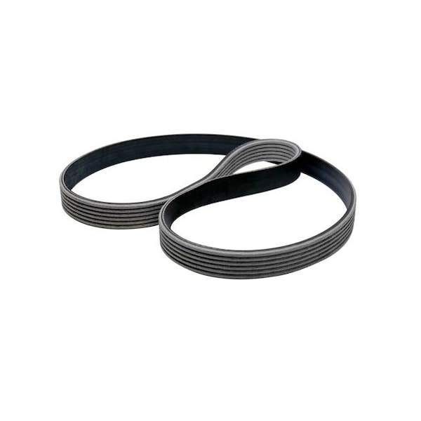 Belt, Poly L, 145.5in PL, 1 Rib
